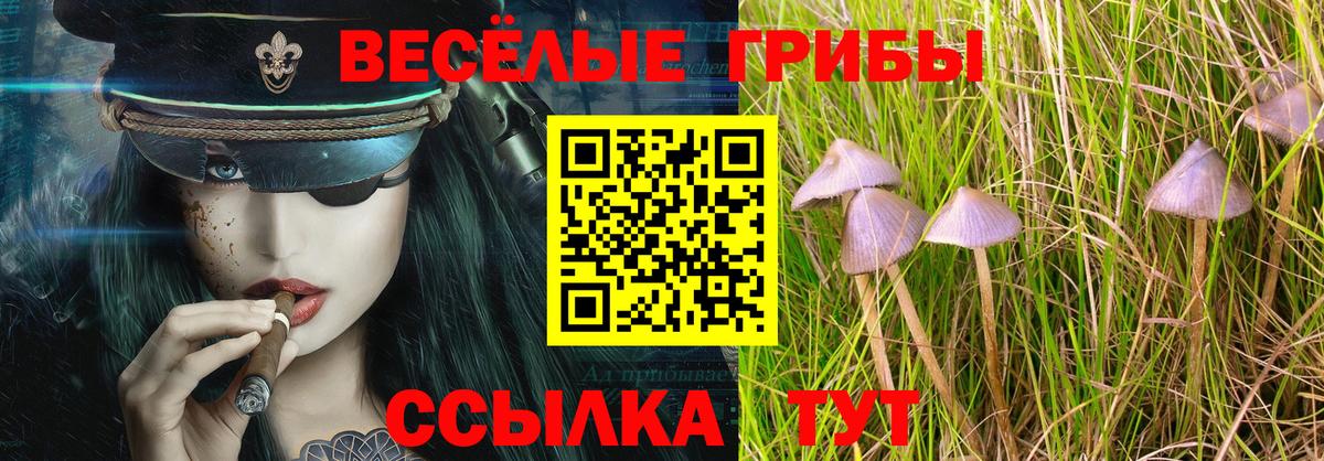 Волгоград  Галлюциногенные грибы Magic Shrooms  Вход с VPN  Галлюциногенные грибы Psilocybine cubensis 
