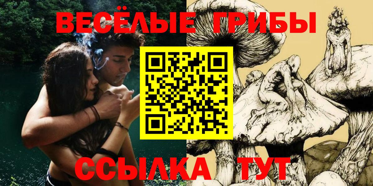 Псилоцибиновые грибы Magic Shrooms Волгоград